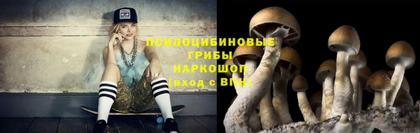 MESCALINE Бородино