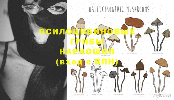 MESCALINE Бородино