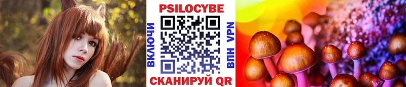 Купить закладки  Свободный  Псилоцибиновые грибы Magic Shrooms 